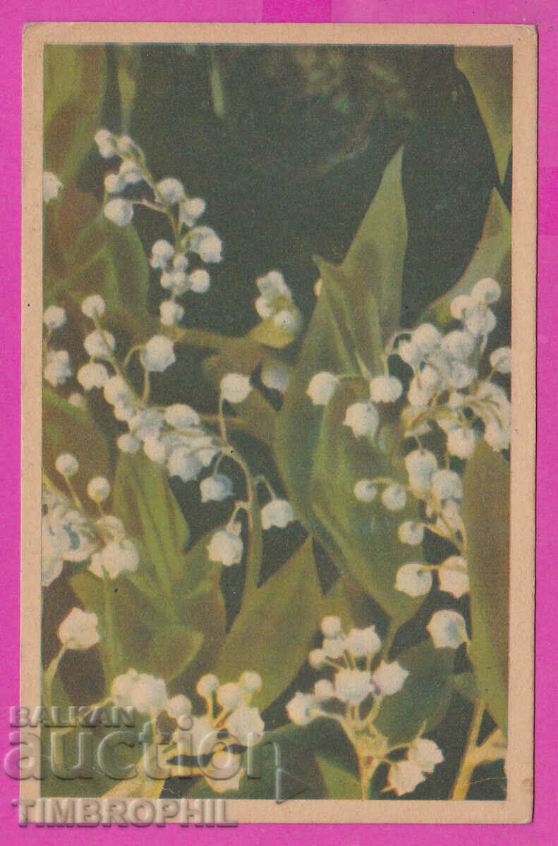 Auction 297823 / Old postcard flowers - Lily of the valley Auction 297823 / Old postcard flowers - Lily of the valley