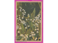 297823 / Old postcard flowers - Lily of the valley