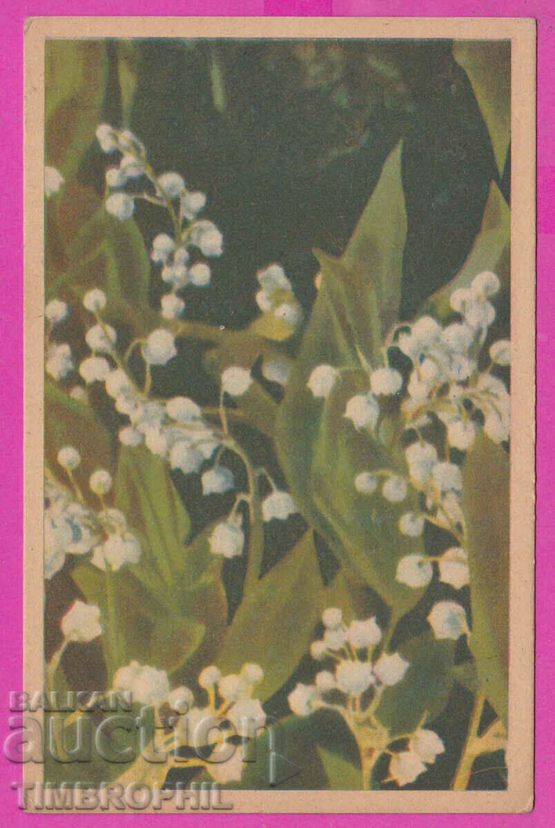 Auction 297824 / Old postcard flowers - Lily of the valley Auction 297824 / Old postcard flowers - Lily of the valley