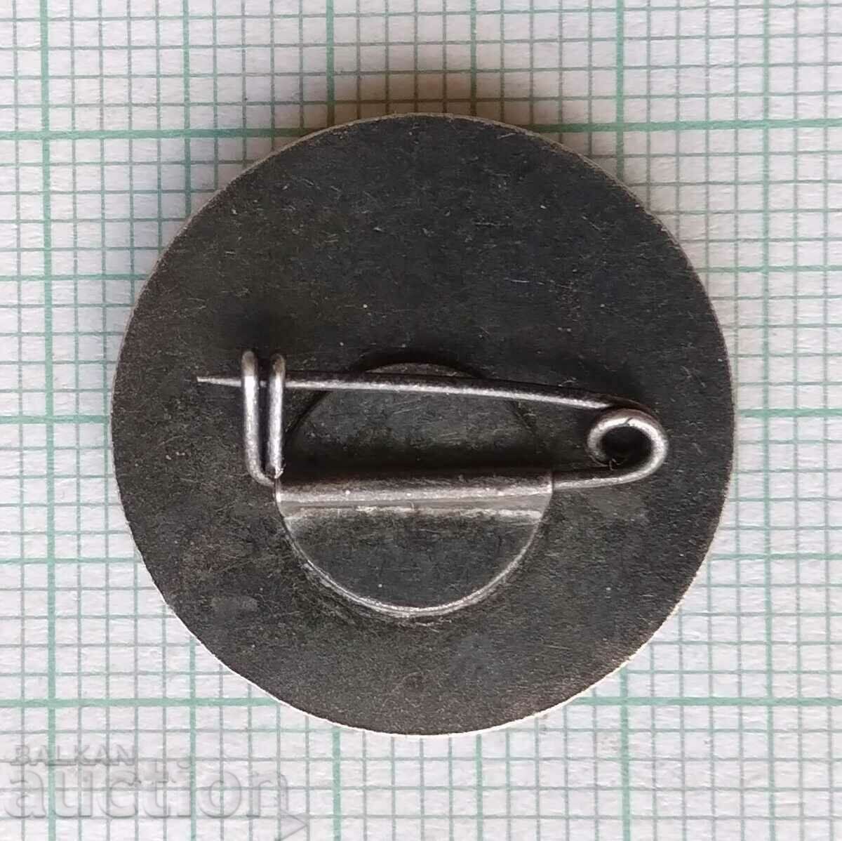 Delivery of 16861 Badge - The book Peace Youth Delivery of 16861 Badge - The book Peace Youth