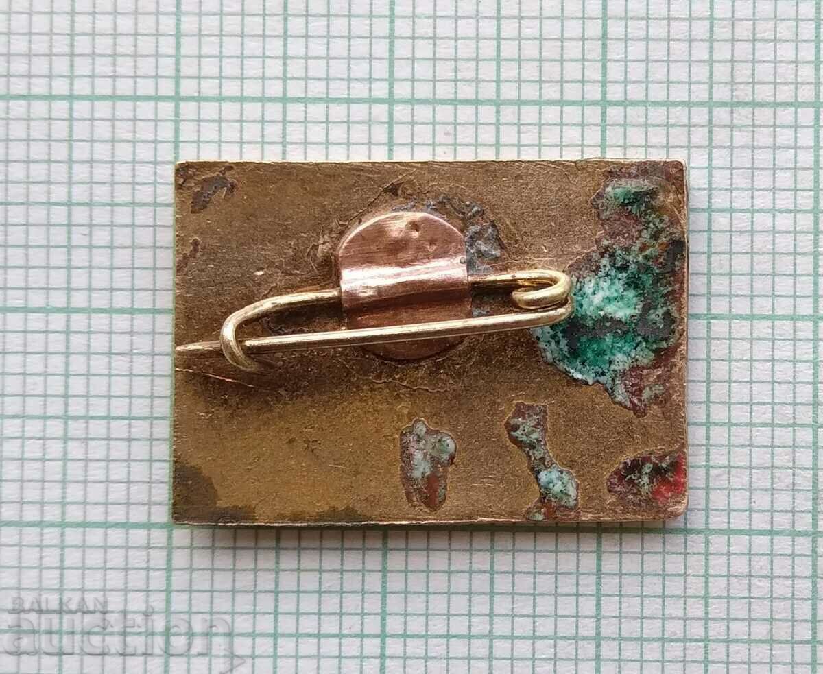 Delivery of 16865 Badge - 40 years Armenian SSR - bronze enamel Delivery of 16865 Badge - 40 years Armenian SSR - bronze enamel