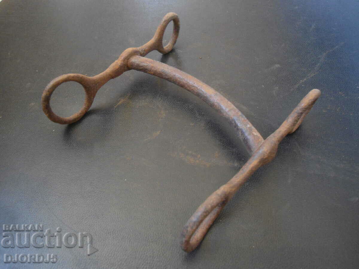 Old bridle