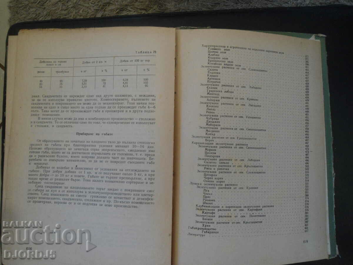 Auction  VEGETABLE PRODUCTION