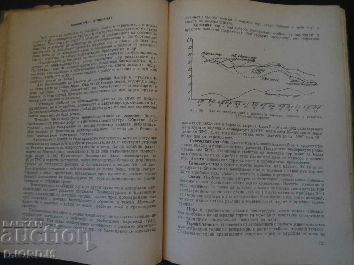 VEGETABLE PRODUCTION - 5