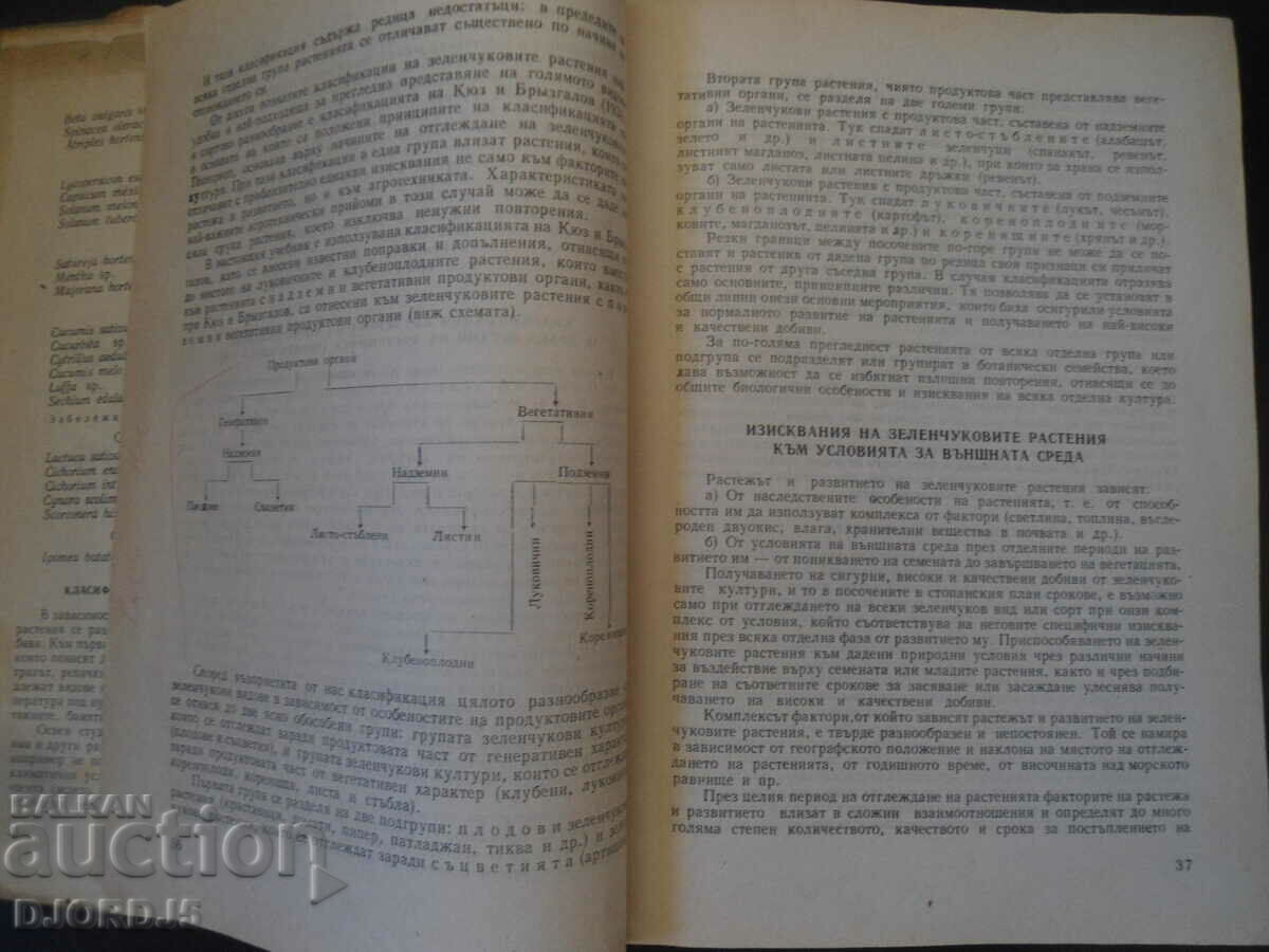 VEGETABLE PRODUCTION - 6