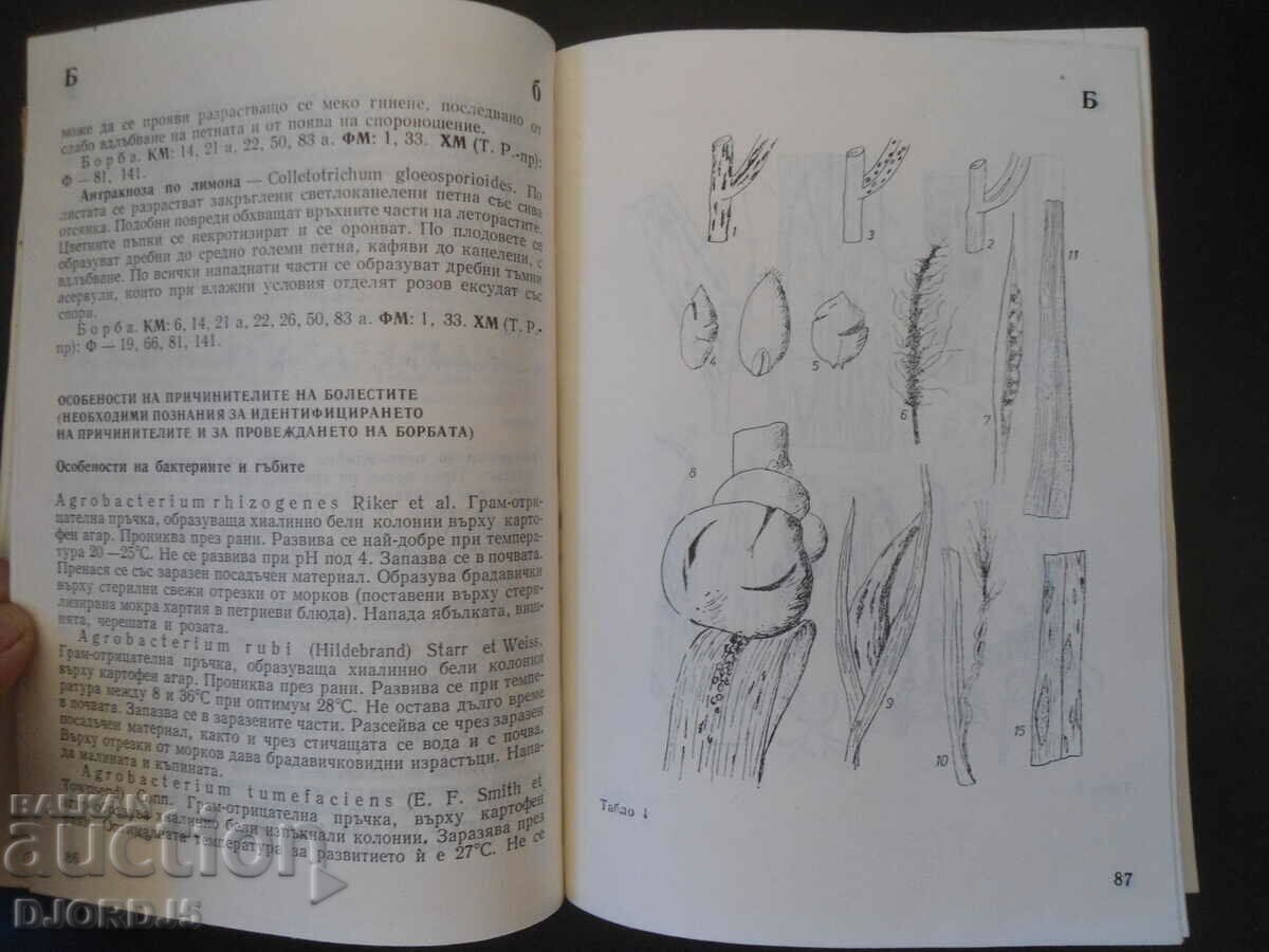 Παράδοση ΒΙΒΛΙΟ ΑΝΑΦΟΡΑΣ για την φυτοπροστασία Παράδοση ΒΙΒΛΙΟ ΑΝΑΦΟΡΑΣ για την φυτοπροστασία