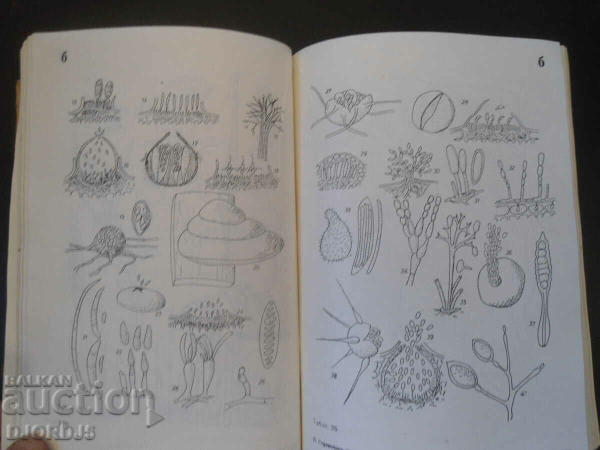 ΒΙΒΛΙΟ ΑΝΑΦΟΡΑΣ για την φυτοπροστασία - 5 ΒΙΒΛΙΟ ΑΝΑΦΟΡΑΣ για την φυτοπροστασία - 5