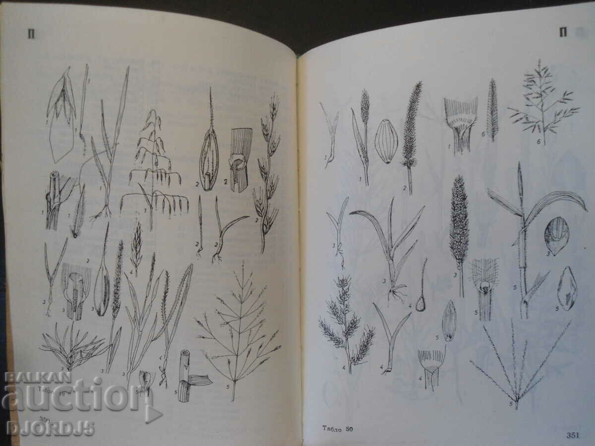 ΒΙΒΛΙΟ ΑΝΑΦΟΡΑΣ για την φυτοπροστασία - 6 ΒΙΒΛΙΟ ΑΝΑΦΟΡΑΣ για την φυτοπροστασία - 6