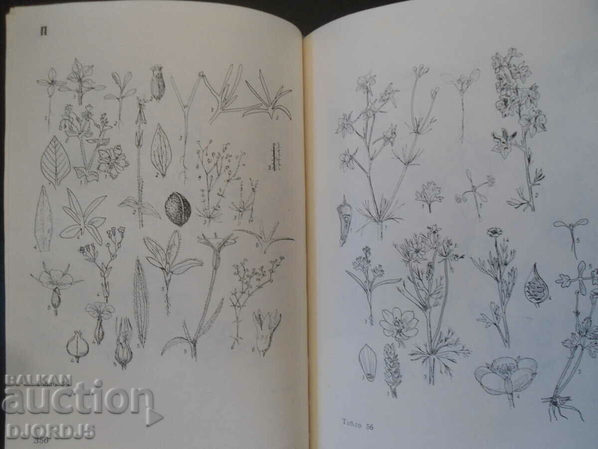 ΒΙΒΛΙΟ ΑΝΑΦΟΡΑΣ για την φυτοπροστασία - 7 ΒΙΒΛΙΟ ΑΝΑΦΟΡΑΣ για την φυτοπροστασία - 7