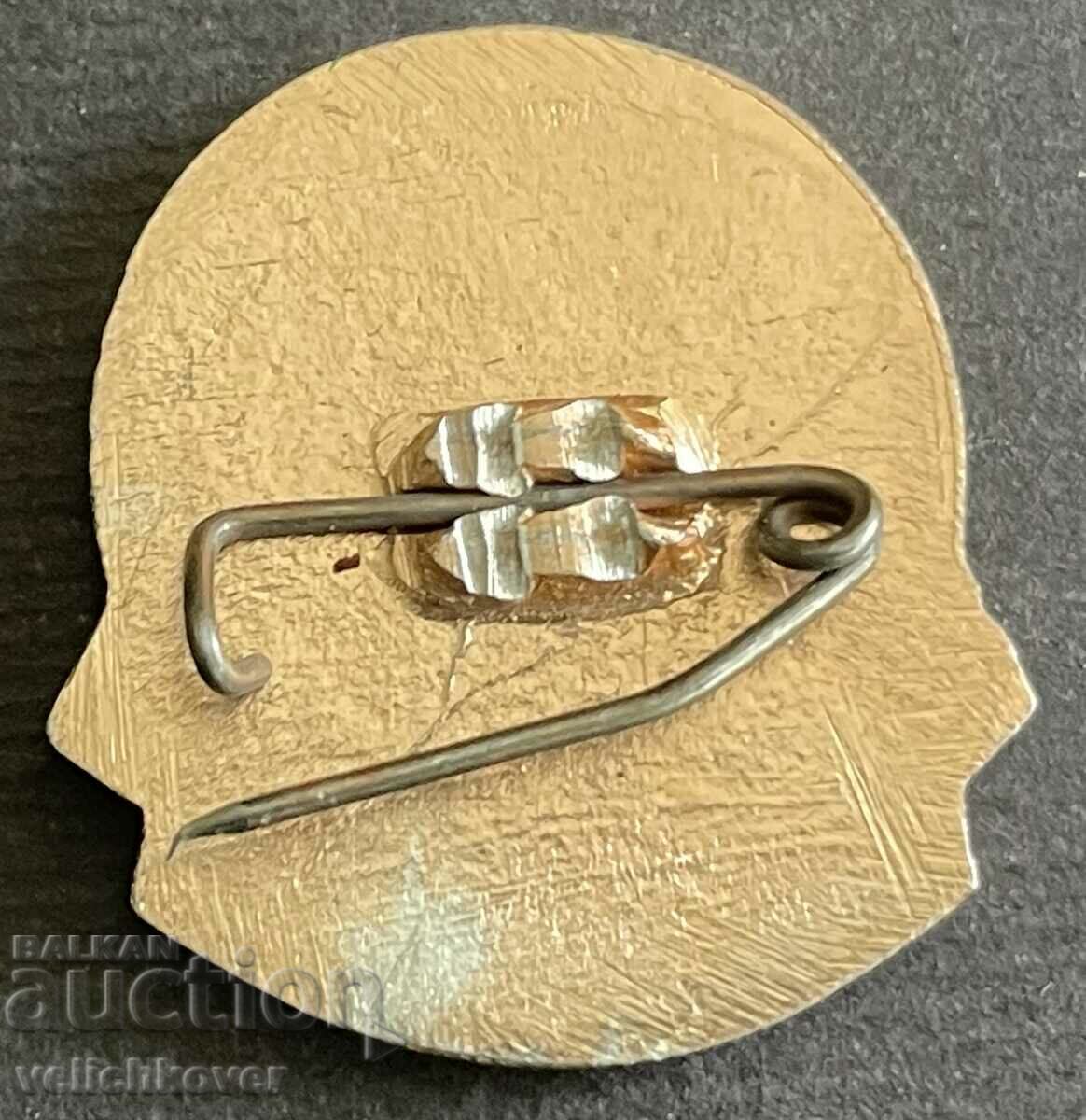 37866 Bulgaria tourist sign BTS Company Aida Haskovo with price 3.00 BGN | € 1.53 37866 Bulgaria tourist sign BTS Company Aida Haskovo with price 3.00 BGN | € 1.53