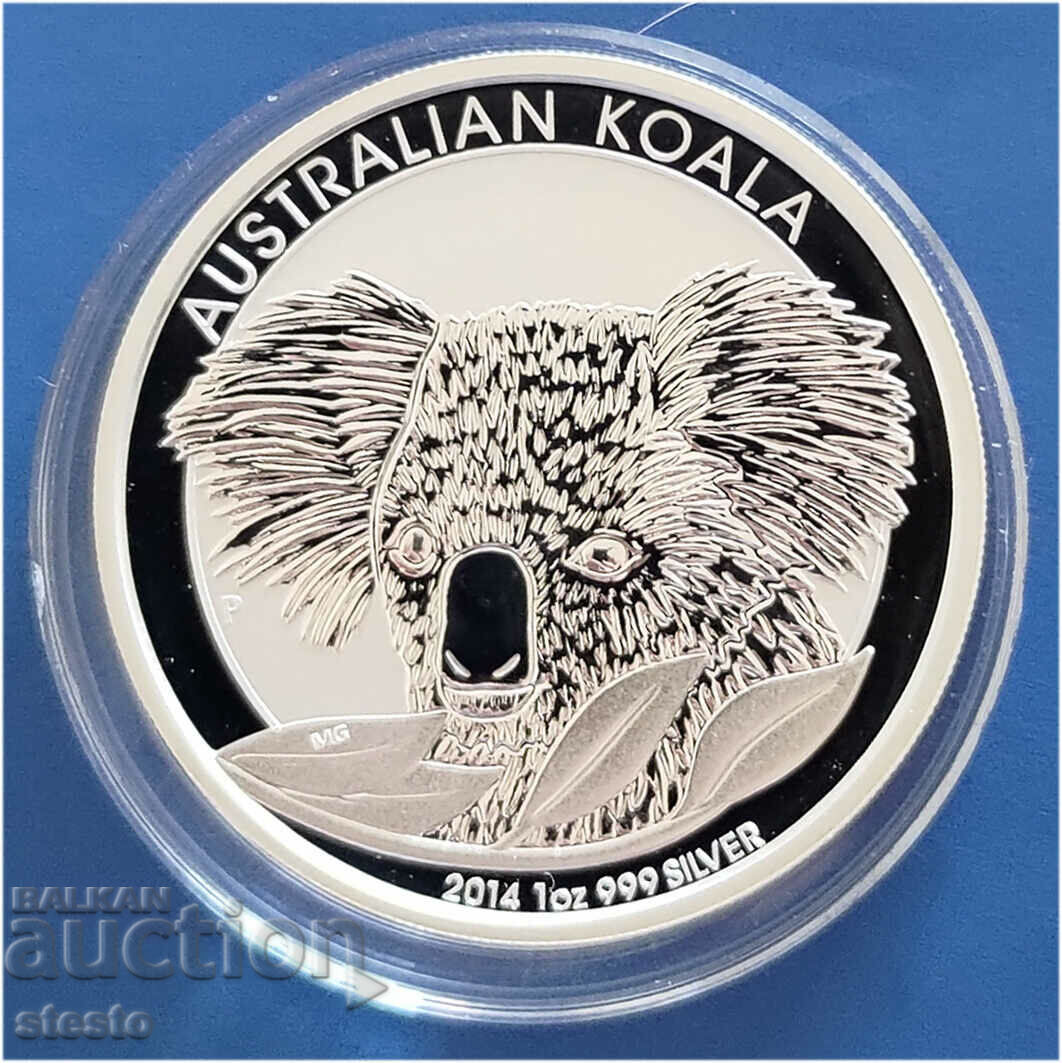 2014 Australian Koala