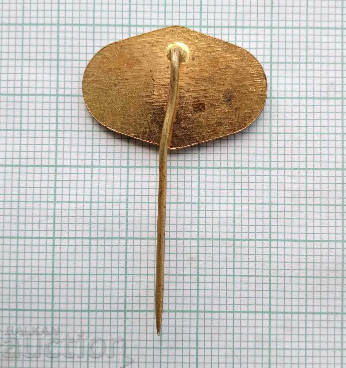 Delivery of 16908 Badge - FSM Delivery of 16908 Badge - FSM