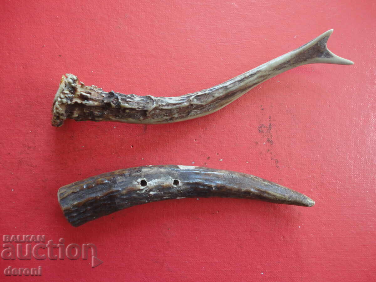 Auction Antler antlers Auction Antler antlers