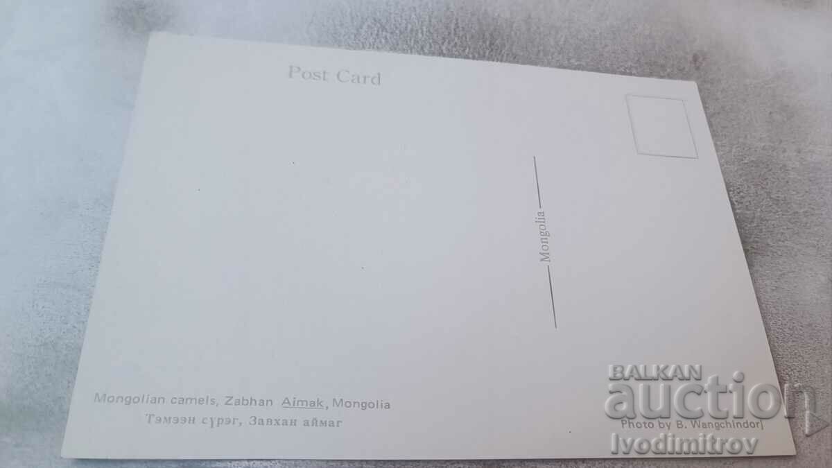 Postcard Zabhan Aimak Mongolian Camels with price 0.85 BGN | € 0.43 Postcard Zabhan Aimak Mongolian Camels with price 0.85 BGN | € 0.43