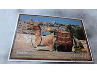 Postcard Jerusalem with a Camel