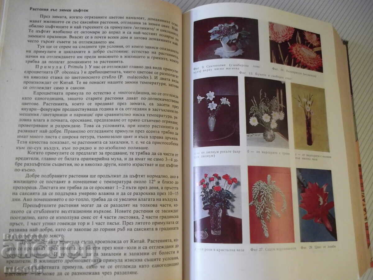 Auction Book "Book for every day and every home - Collective" - 784 pages. Auction Book "Book for every day and every home - Collective" - 784 pages.