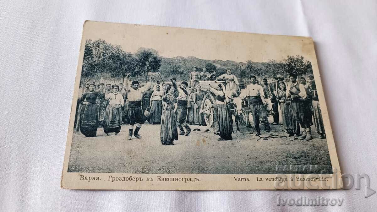 Postcard Varna Harvest in Evksinograd 1934