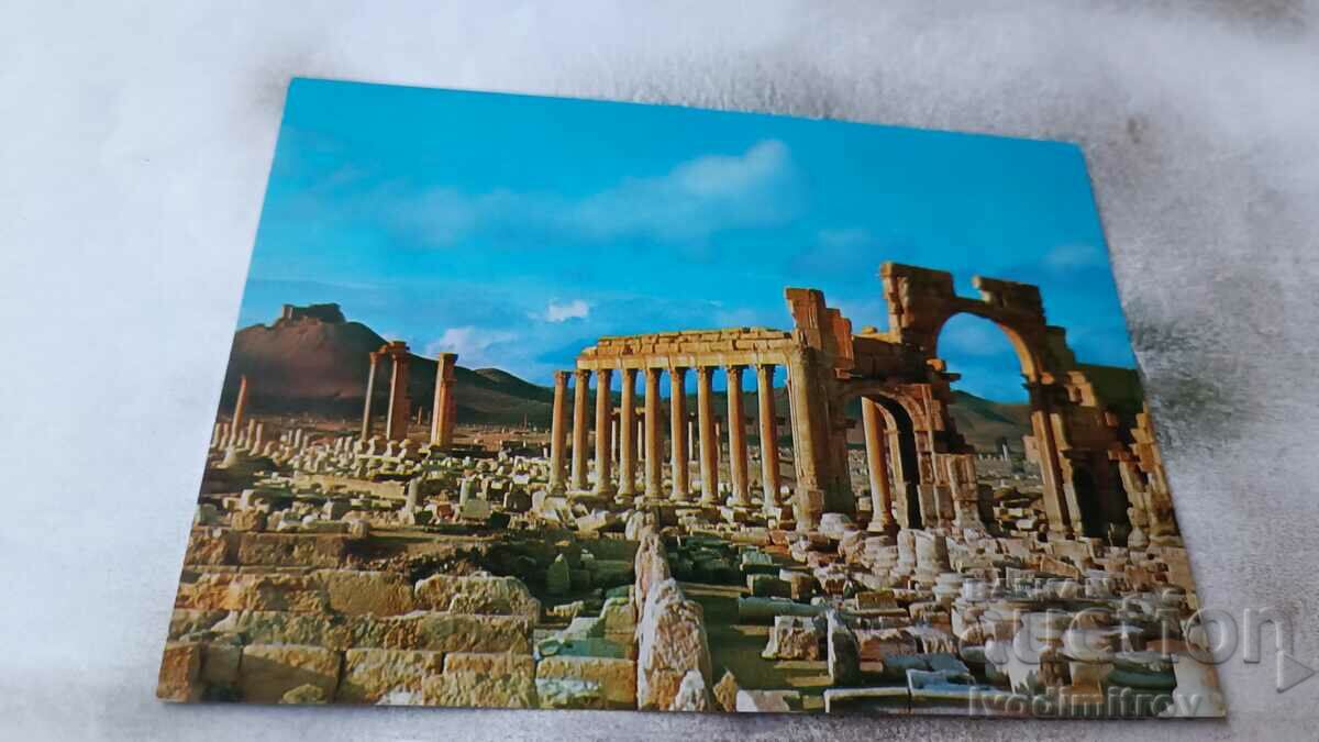 Postcard Palmyra Great Colonnade