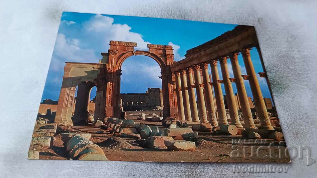 Postcard Palmyra Great Colonnade