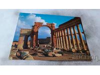 Postcard Palmyra Great Colonnade