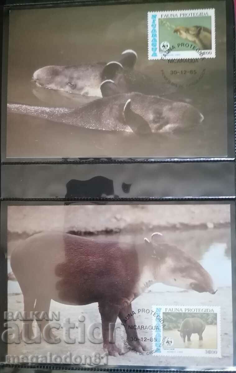 Honduras - WWF fauna, South American tapir with price 12.00 BGN | € 6.14 Honduras - WWF fauna, South American tapir with price 12.00 BGN | € 6.14