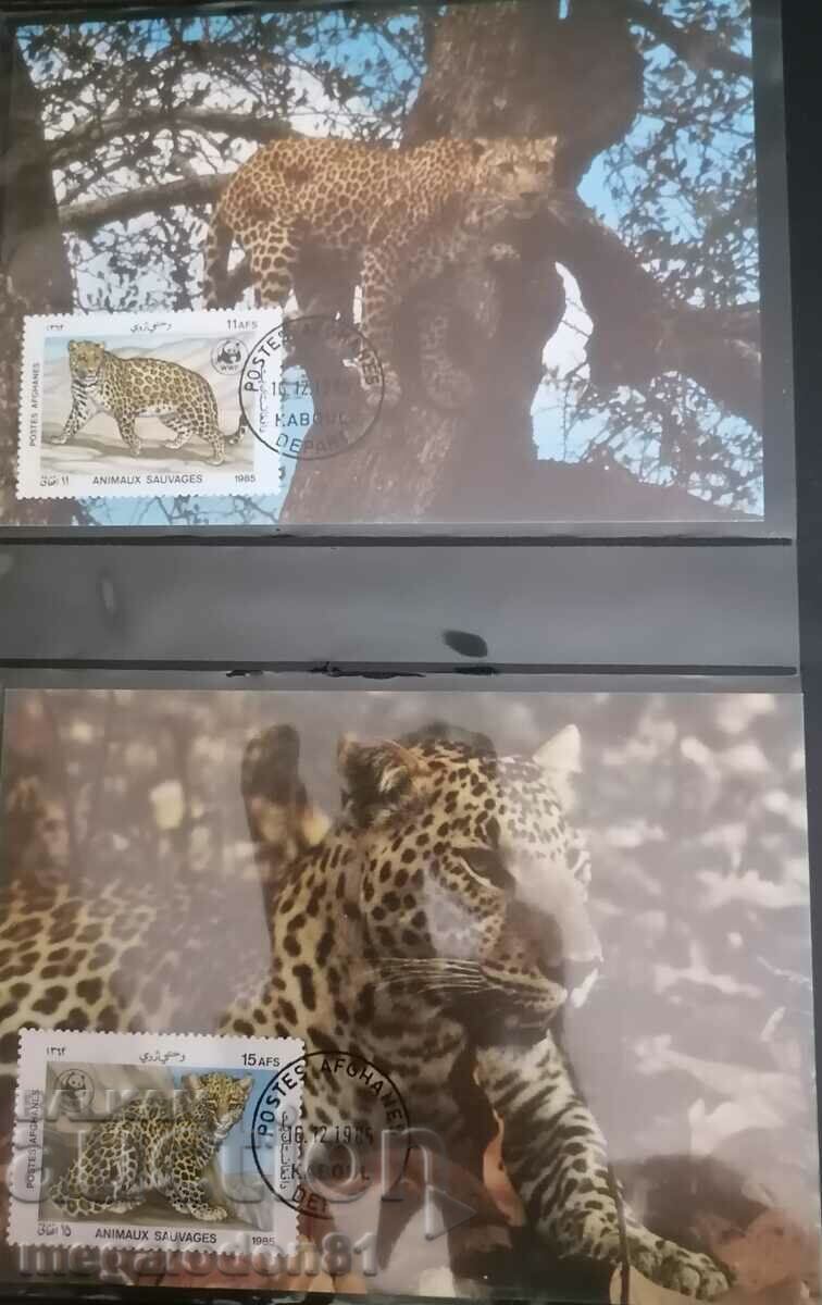 Afghanistan - WWF fauna, leopard with price 14.00 BGN | € 7.16 Afghanistan - WWF fauna, leopard with price 14.00 BGN | € 7.16