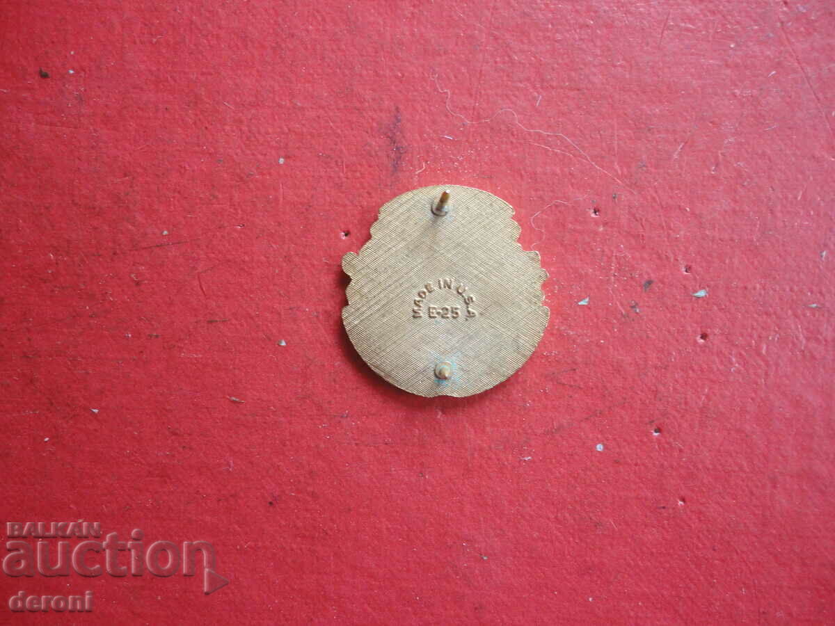 Auction Army Railway Railway Enamel Badge Badge Auction Army Railway Railway Enamel Badge Badge