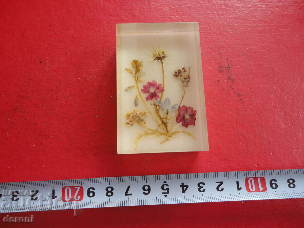 German painting dry flowers with price 10.00 BGN | € 5.11 German painting dry flowers with price 10.00 BGN | € 5.11