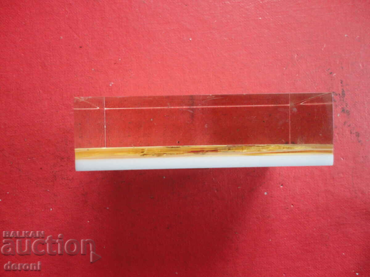 Delivery of German painting dry flowers Delivery of German painting dry flowers