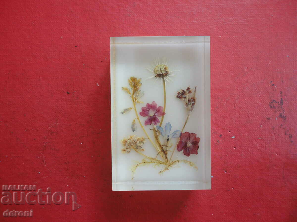 German painting dry flowers - 6 German painting dry flowers - 6