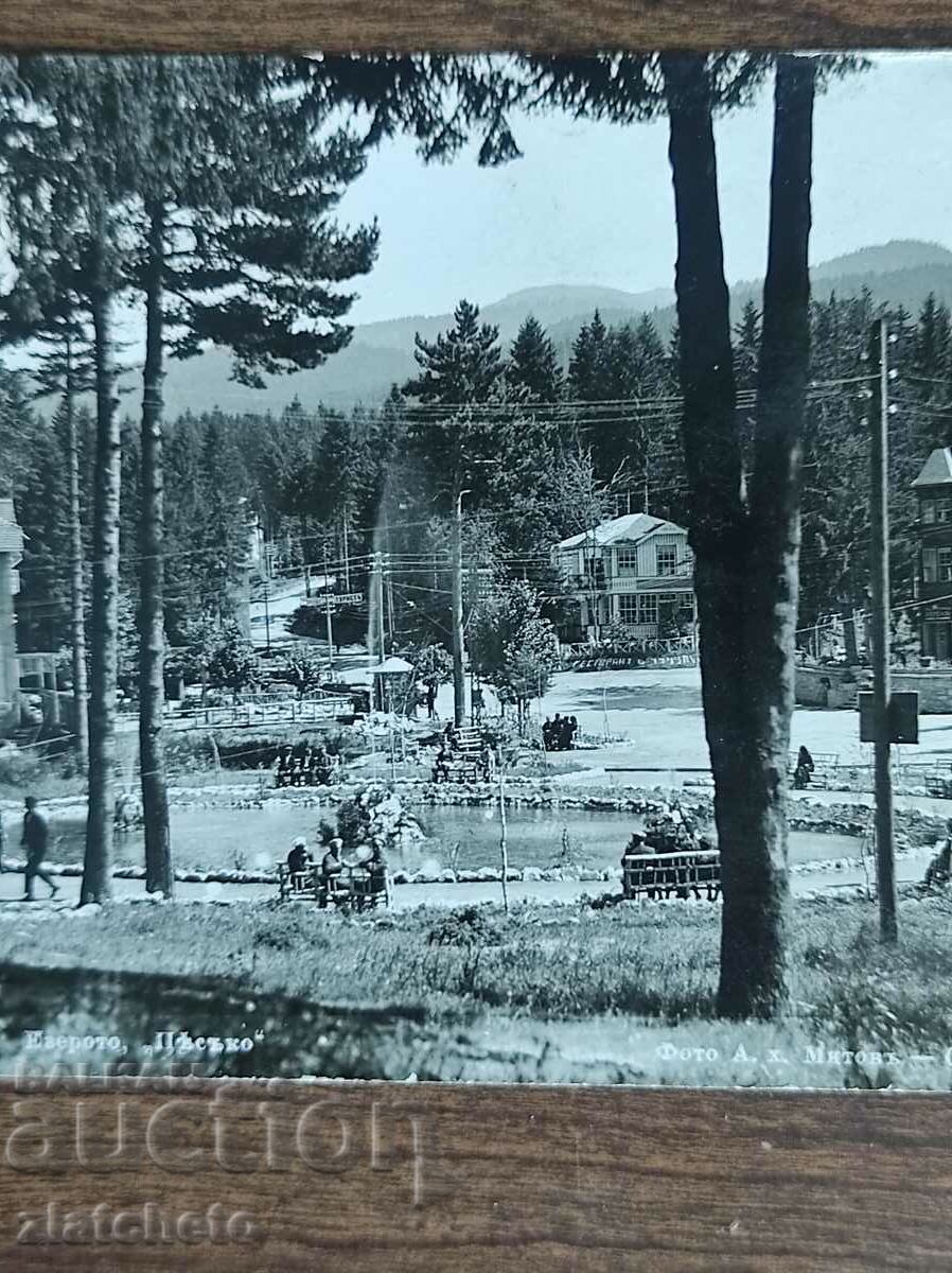 Auction Postal Card Kingdom of Bulgaria - Chamkoria Auction Postal Card Kingdom of Bulgaria - Chamkoria