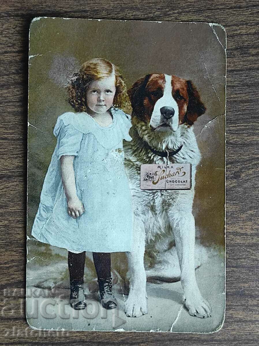 Auction Postal Card Kingdom of Bulgaria - PSV Auction Postal Card Kingdom of Bulgaria - PSV