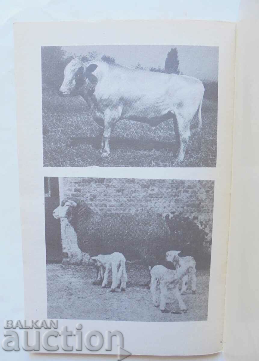 Delivery of artificial insemination of farm animals 1992 Delivery of artificial insemination of farm animals 1992