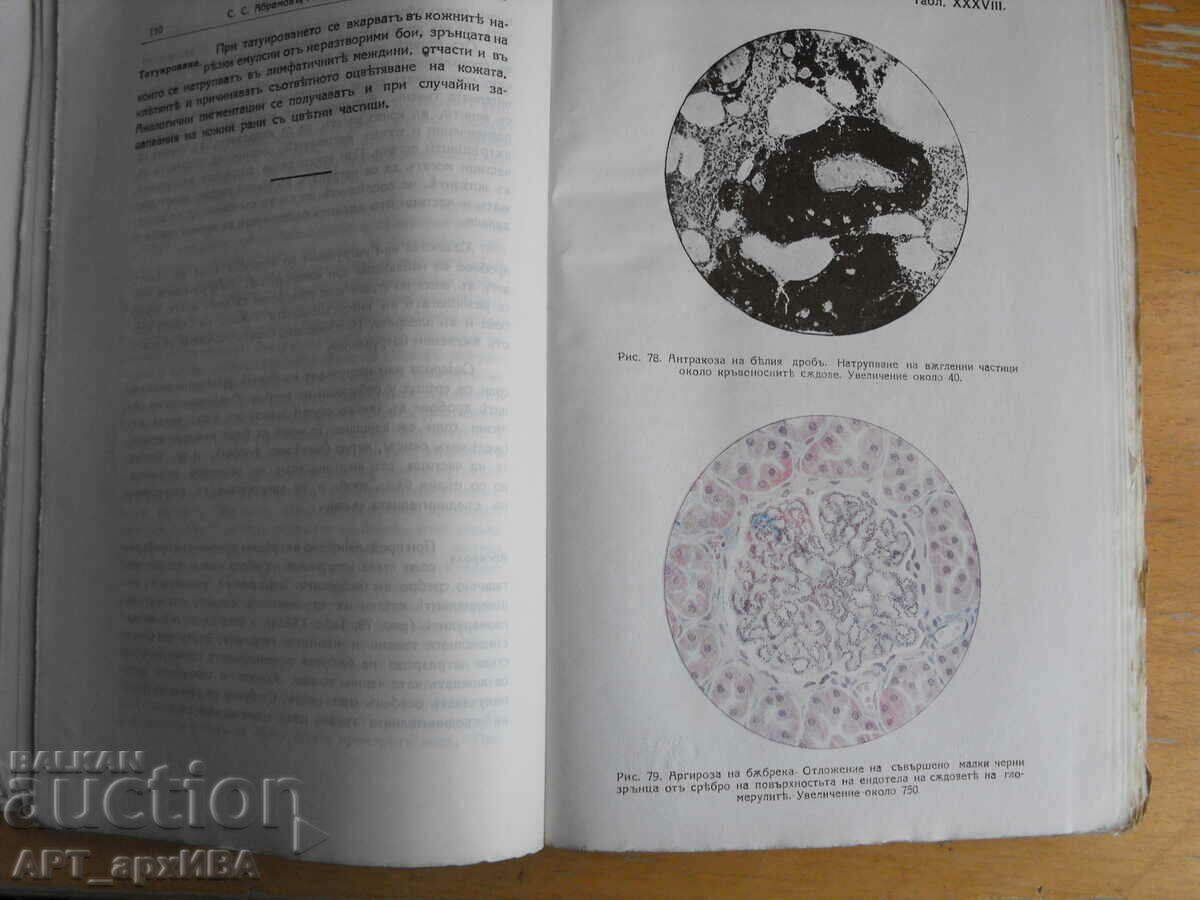 Auction Pathological PROCESSES... Author: S.S. Abramov. Auction Pathological PROCESSES... Author: S.S. Abramov.