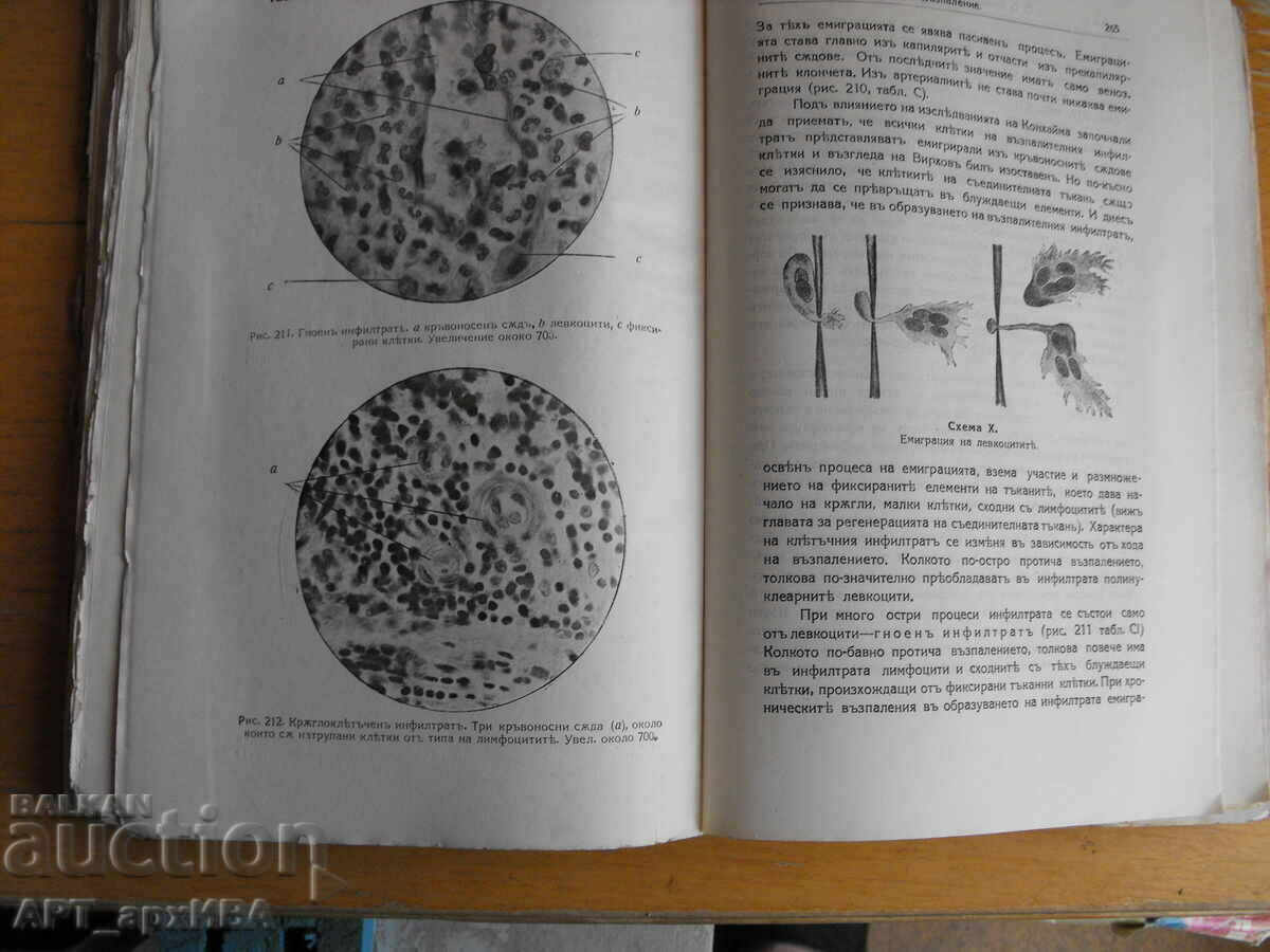 Delivery of Pathological PROCESSES... Author: S.S. Abramov. Delivery of Pathological PROCESSES... Author: S.S. Abramov.