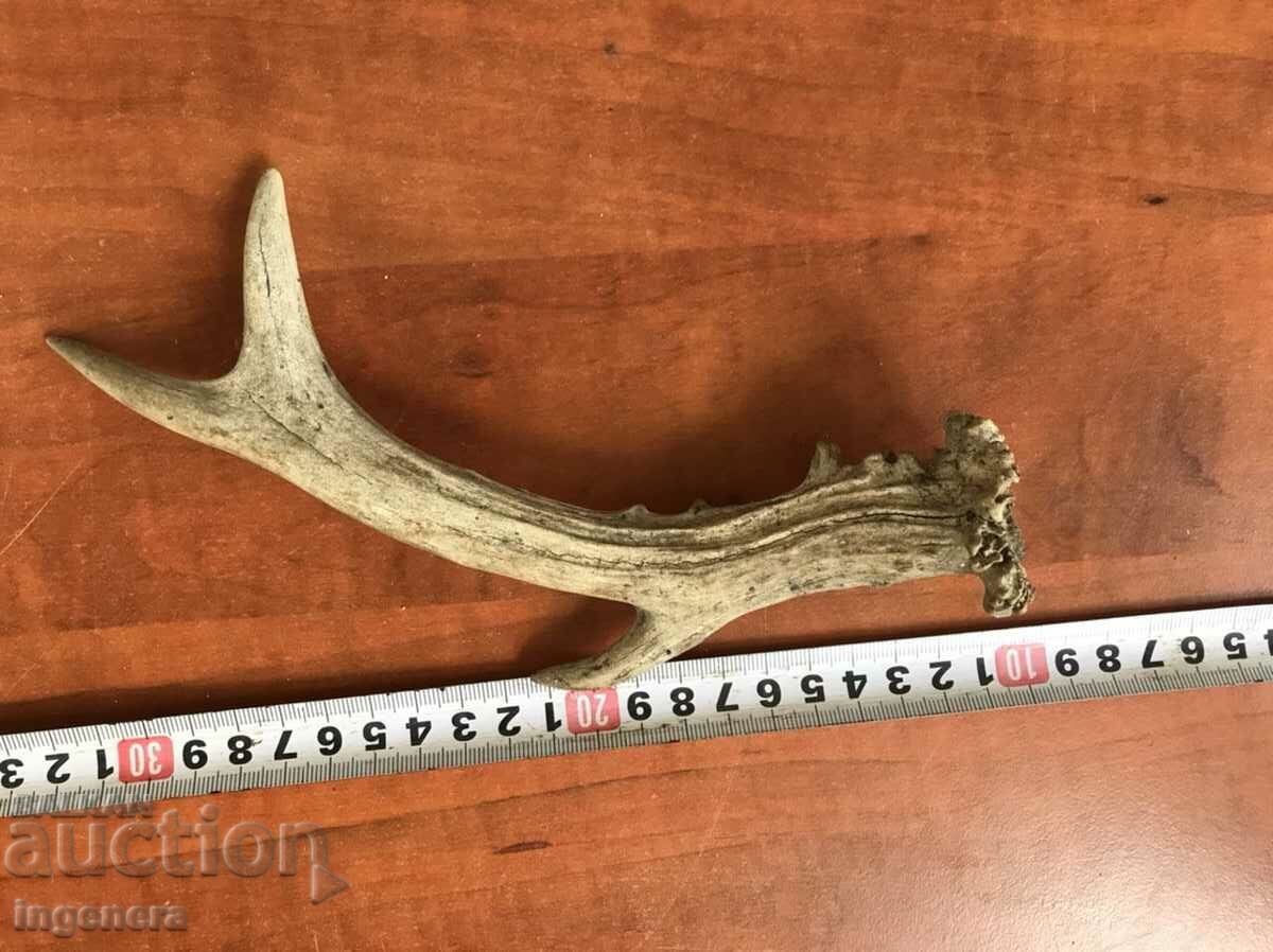 ROG SARANDAK SARANDAK FOR KNIFE HANDLE OR ORNAMENT with price 13.00 BGN | € 6.65 ROG SARANDAK SARANDAK FOR KNIFE HANDLE OR ORNAMENT with price 13.00 BGN | € 6.65