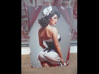 Metal sign erotica sexy girl maid cabaret cool