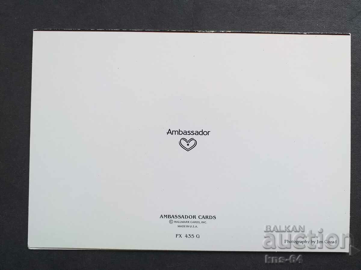 ChNG Congratulatory Double με τιμή 1.20 BGN | € 0.61 ChNG Congratulatory Double με τιμή 1.20 BGN | € 0.61