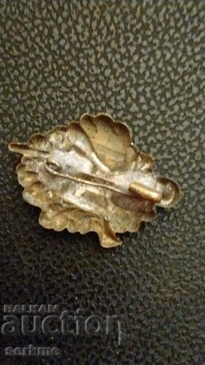 Badge with price 8.00 BGN | € 4.09 Badge with price 8.00 BGN | € 4.09