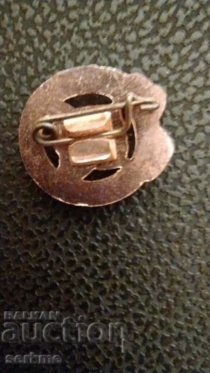 Badges - 5 Badges - 5