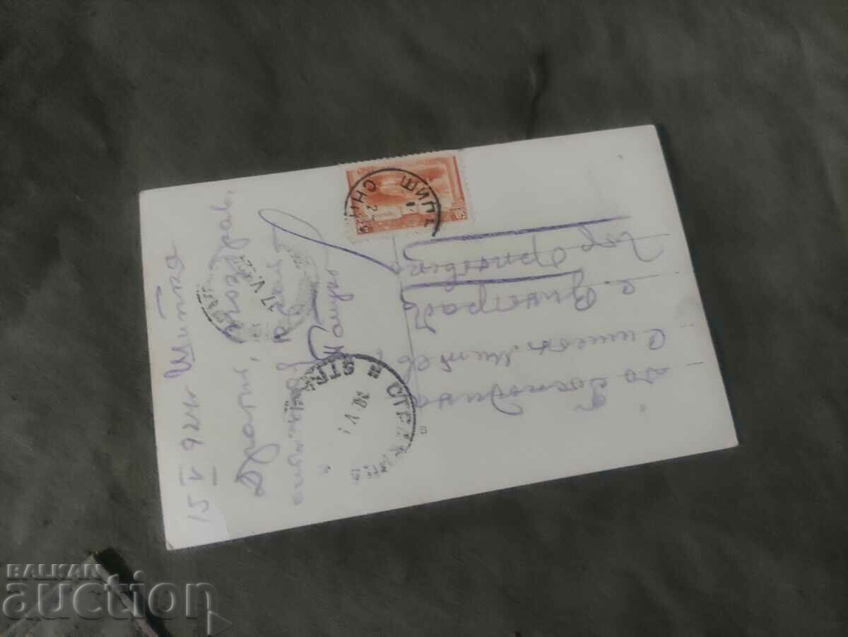 Rosehip. - photo Obushtarov with price 80.00 BGN | € 40.90