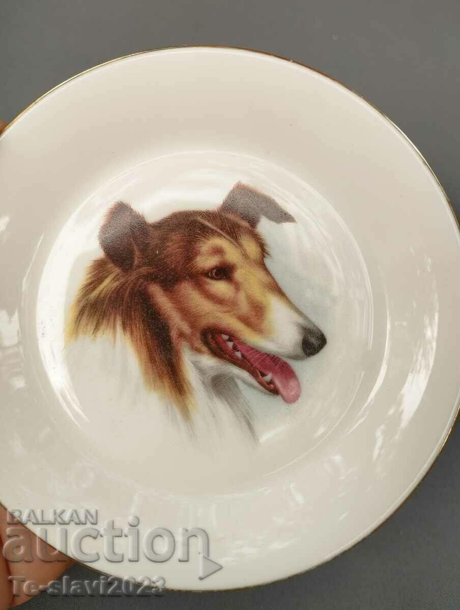 Old German Porcelain Plate - Collie dog