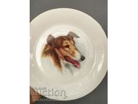 Old German Porcelain Plate - Collie dog