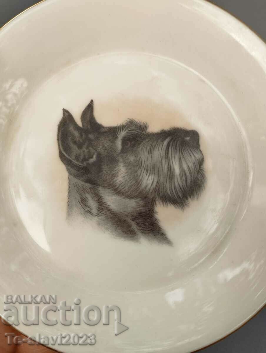 Old German Porcelain Plate - Schnauzer dog