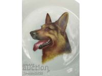 Old German Porcelain Plate - German Shepherd Dog