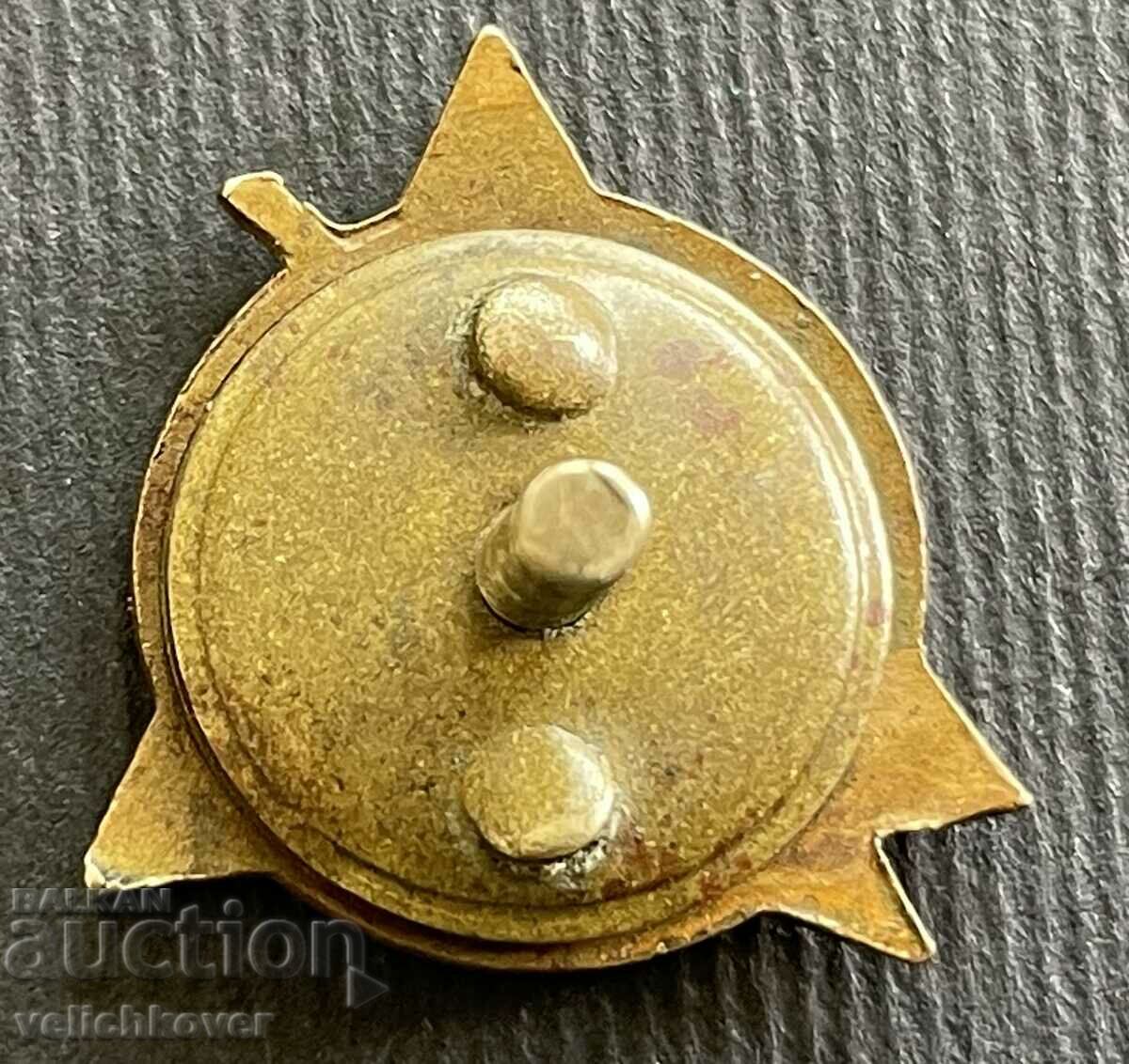 37947 Bulgaria sign Union of medium technicians in Bulgaria enamel with price 50.00 BGN | € 25.56 37947 Bulgaria sign Union of medium technicians in Bulgaria enamel with price 50.00 BGN | € 25.56