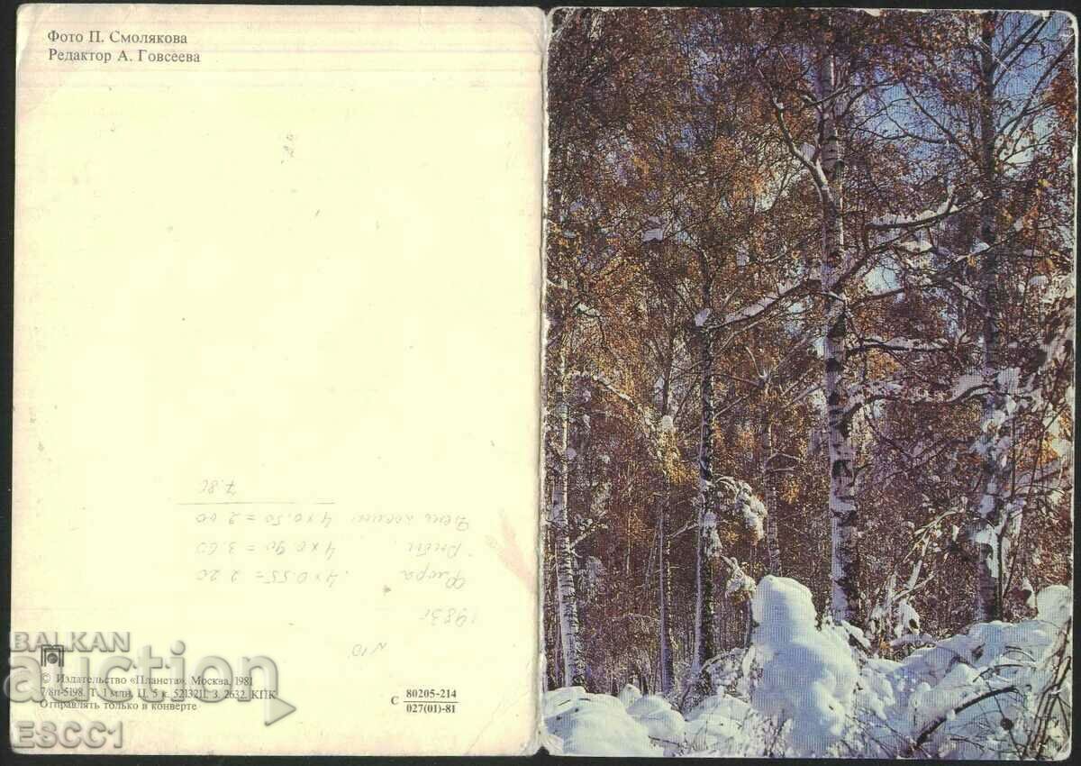 Δημοπρασία Ευχετήρια κάρτα Πρωτοχρονιάς 1981 από την ΕΣΣΔ Δημοπρασία Ευχετήρια κάρτα Πρωτοχρονιάς 1981 από την ΕΣΣΔ