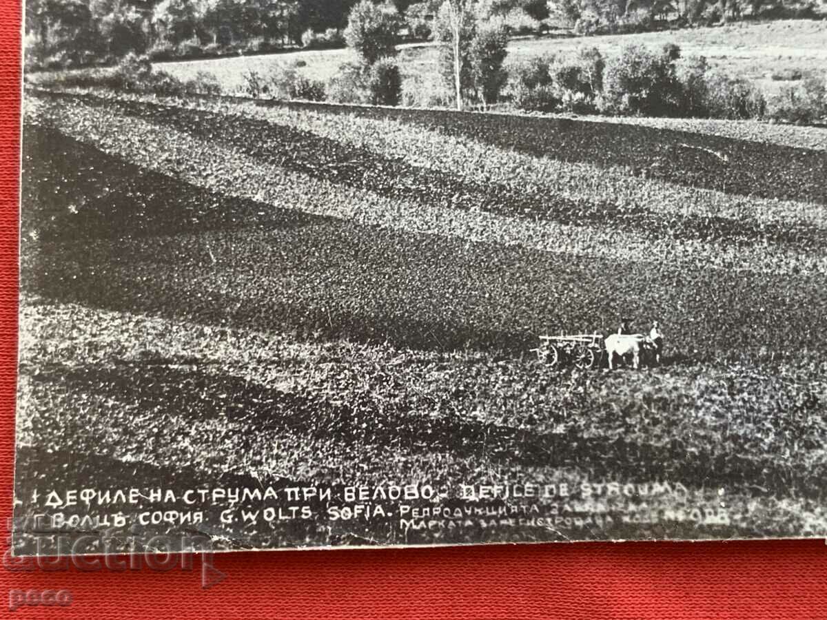 Gorge of Struma near Belovo/from 1925. Zemen/Georg Volz with price 100.00 BGN | € 51.13 Gorge of Struma near Belovo/from 1925. Zemen/Georg Volz with price 100.00 BGN | € 51.13