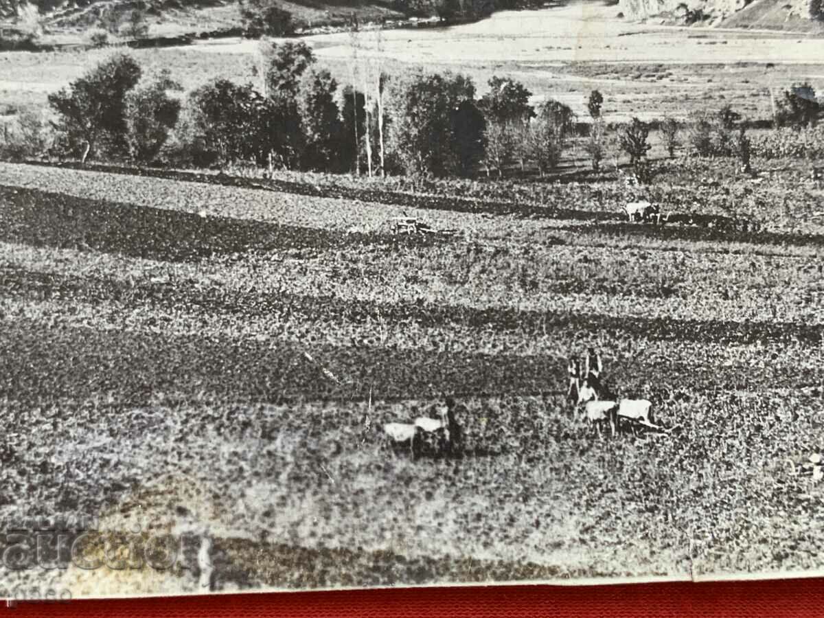 Auction Gorge of Struma near Belovo/from 1925. Zemen/Georg Volz Auction Gorge of Struma near Belovo/from 1925. Zemen/Georg Volz