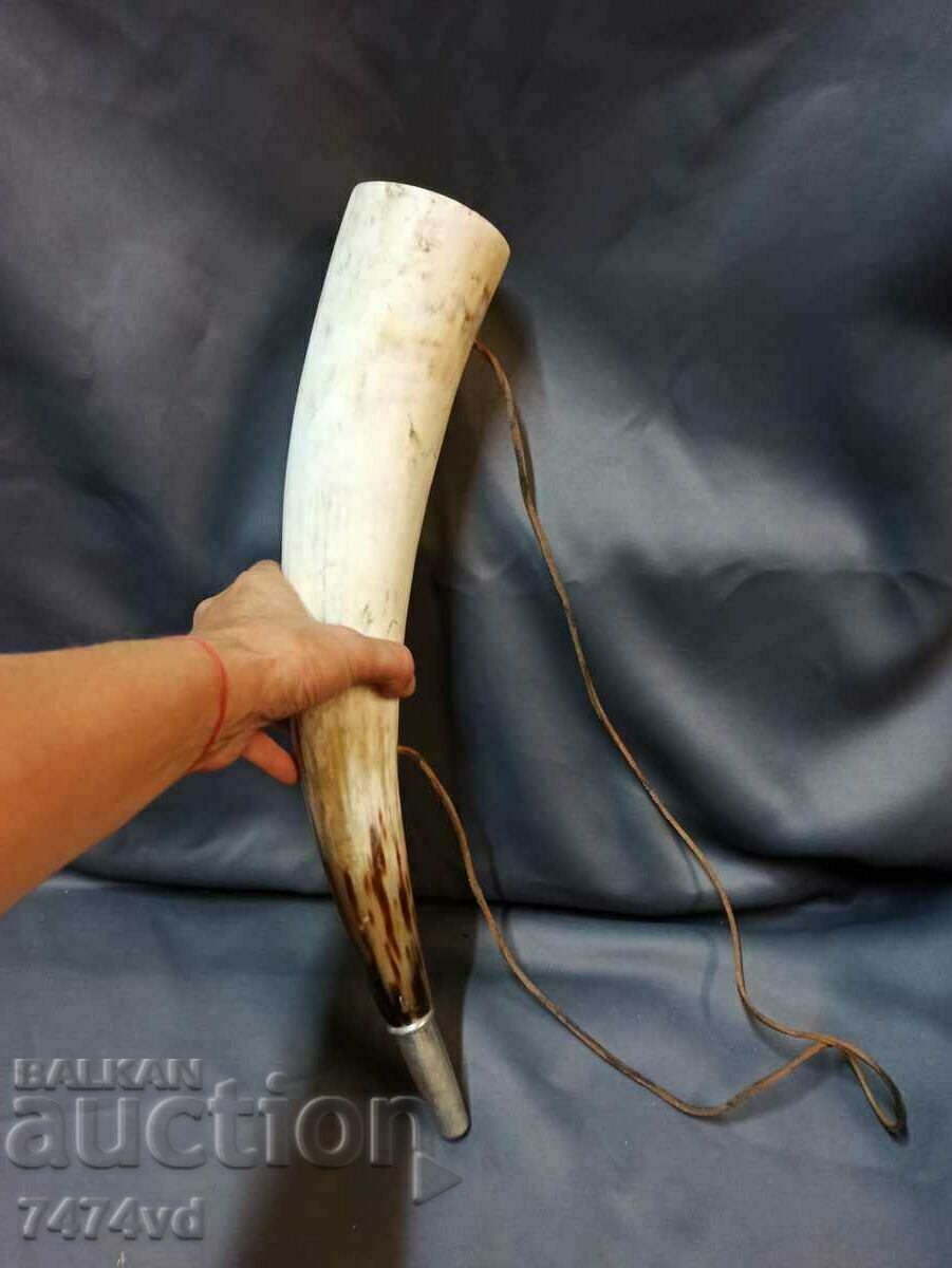 Huge hunting horn 45 cm long